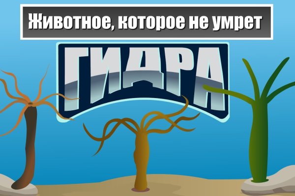 Как вернуть аккаунт кракен