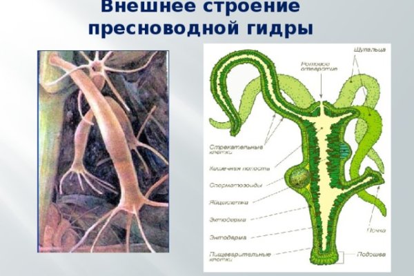 Кракен тор ссылка онлайн