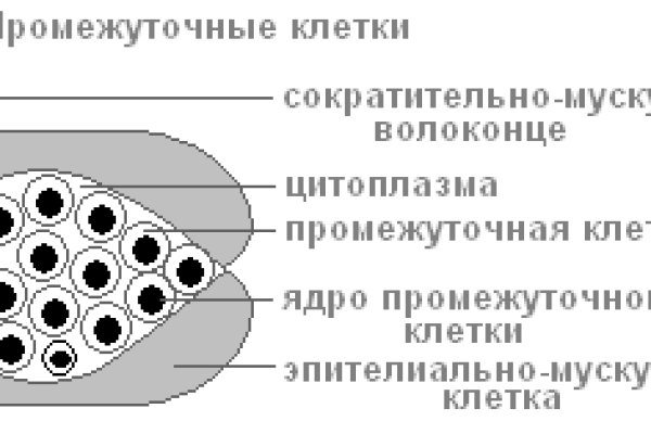Kraken что это такое