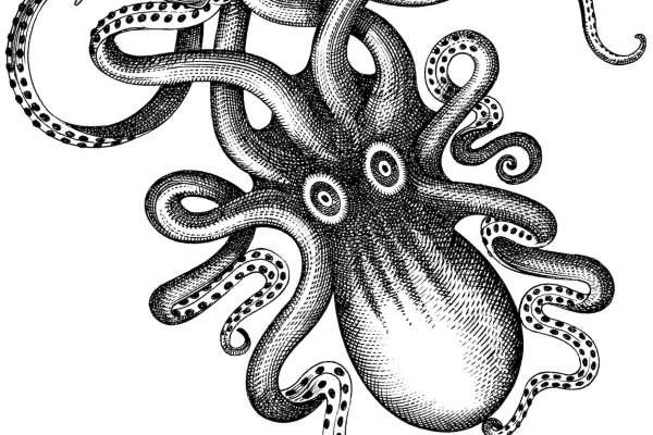 Ссылка кракен kraken torion net