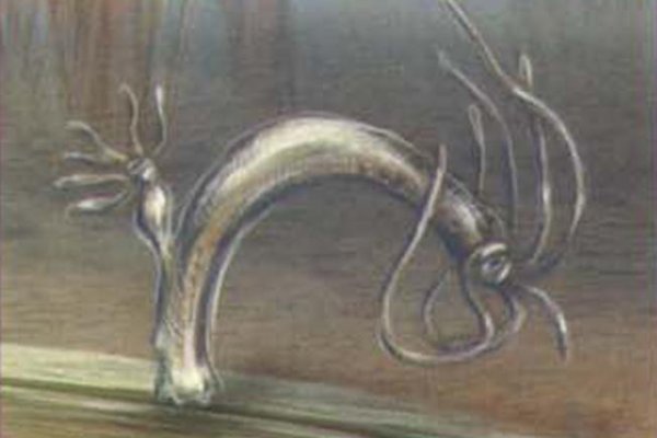 Аналог hydra