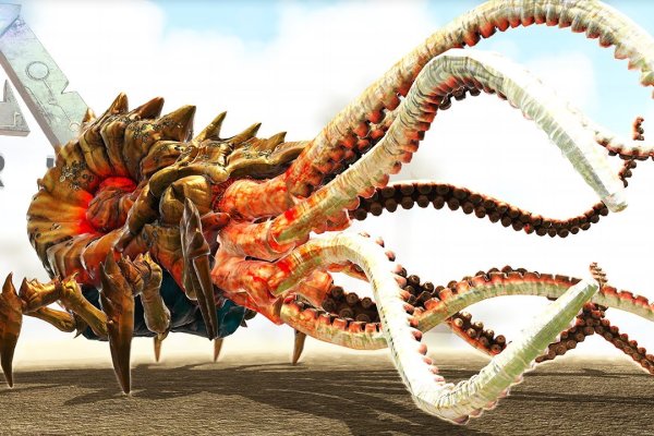 Kraken домен