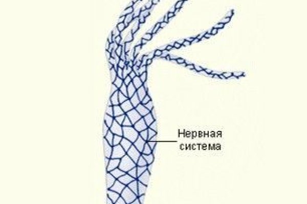 Кракен дарк ссылка
