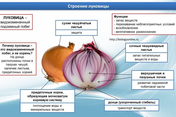 Как попасть на сайт кракен